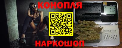 гидропоника Славгород